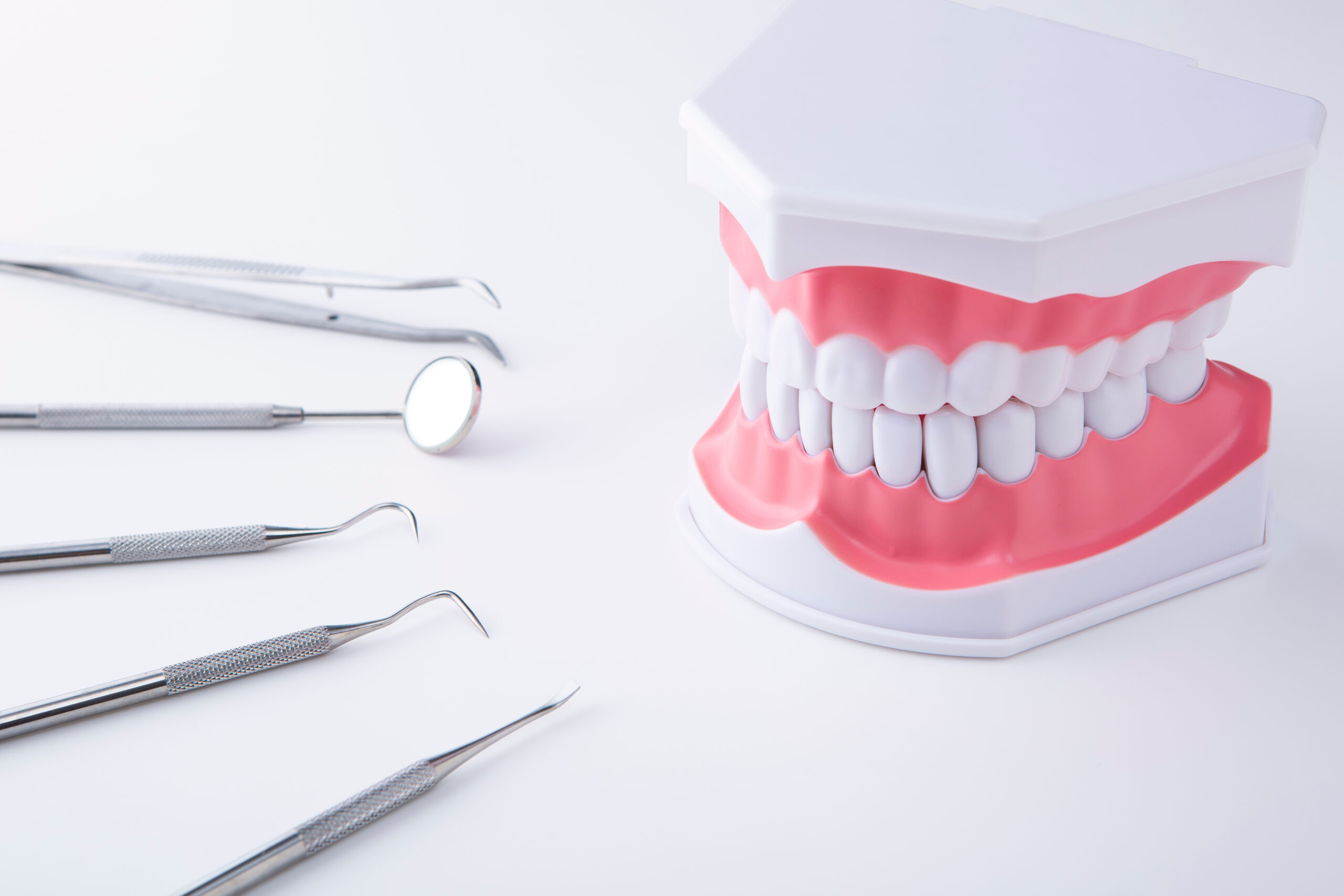 歯の模型と歯科器具の様子